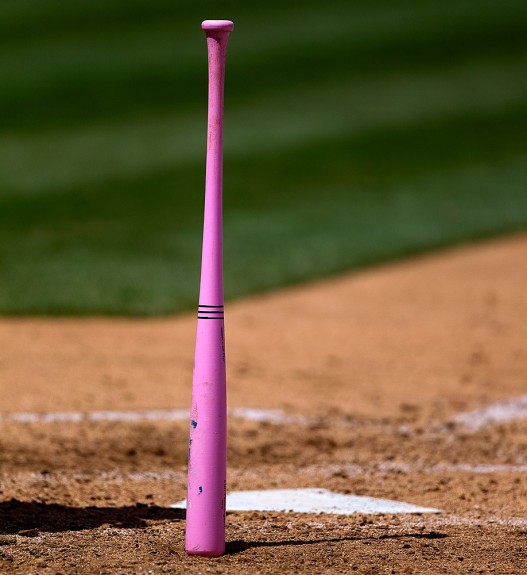 Birdman Pink Highlight Series Maple Bat - Hit After Hit